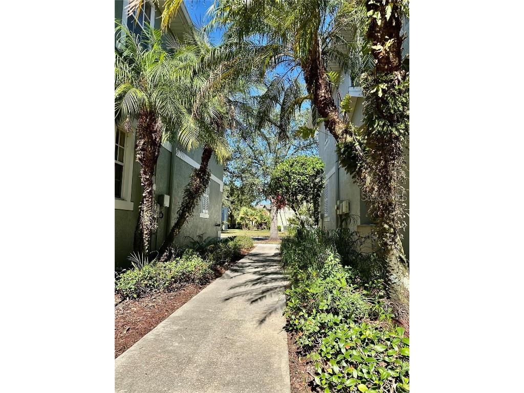 27747 Pleasure Ride Loop Wesley Chapel FL 33544 W7880695 image3