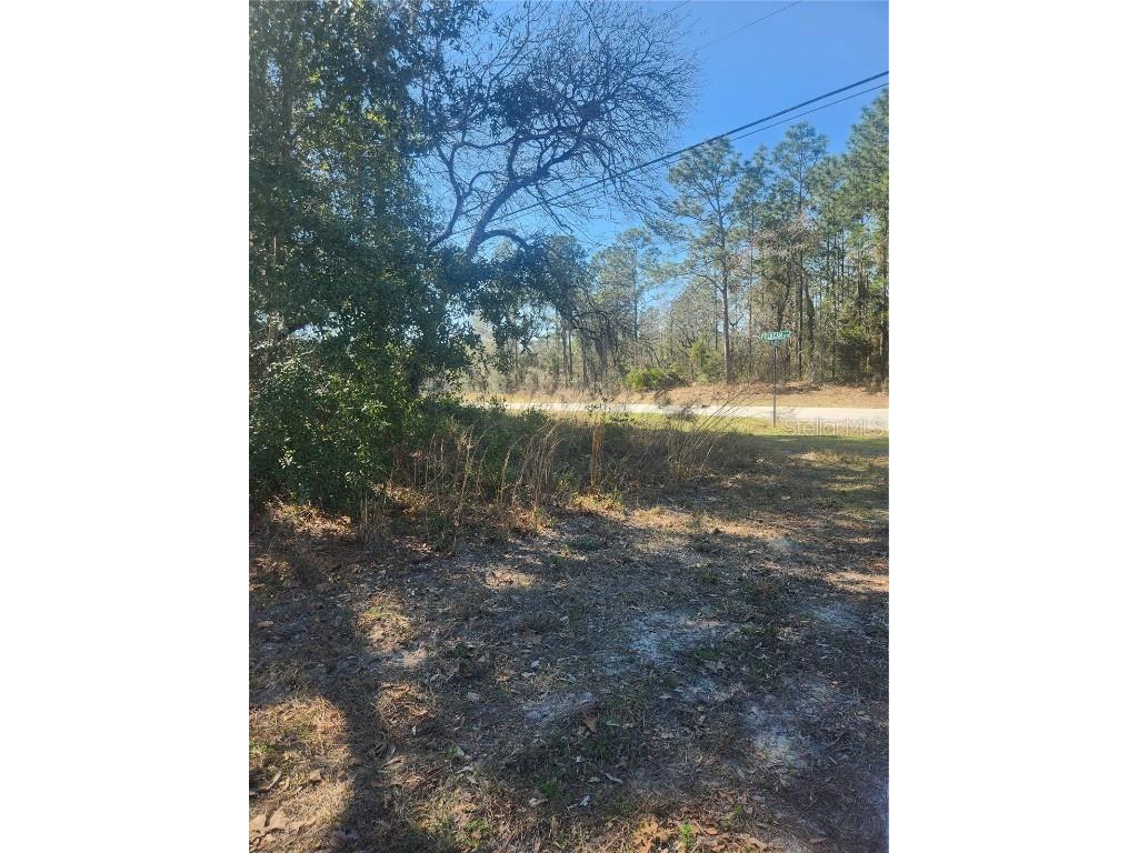 2776 W Madrid Street Citrus Springs FL 34434 U8229631 image1