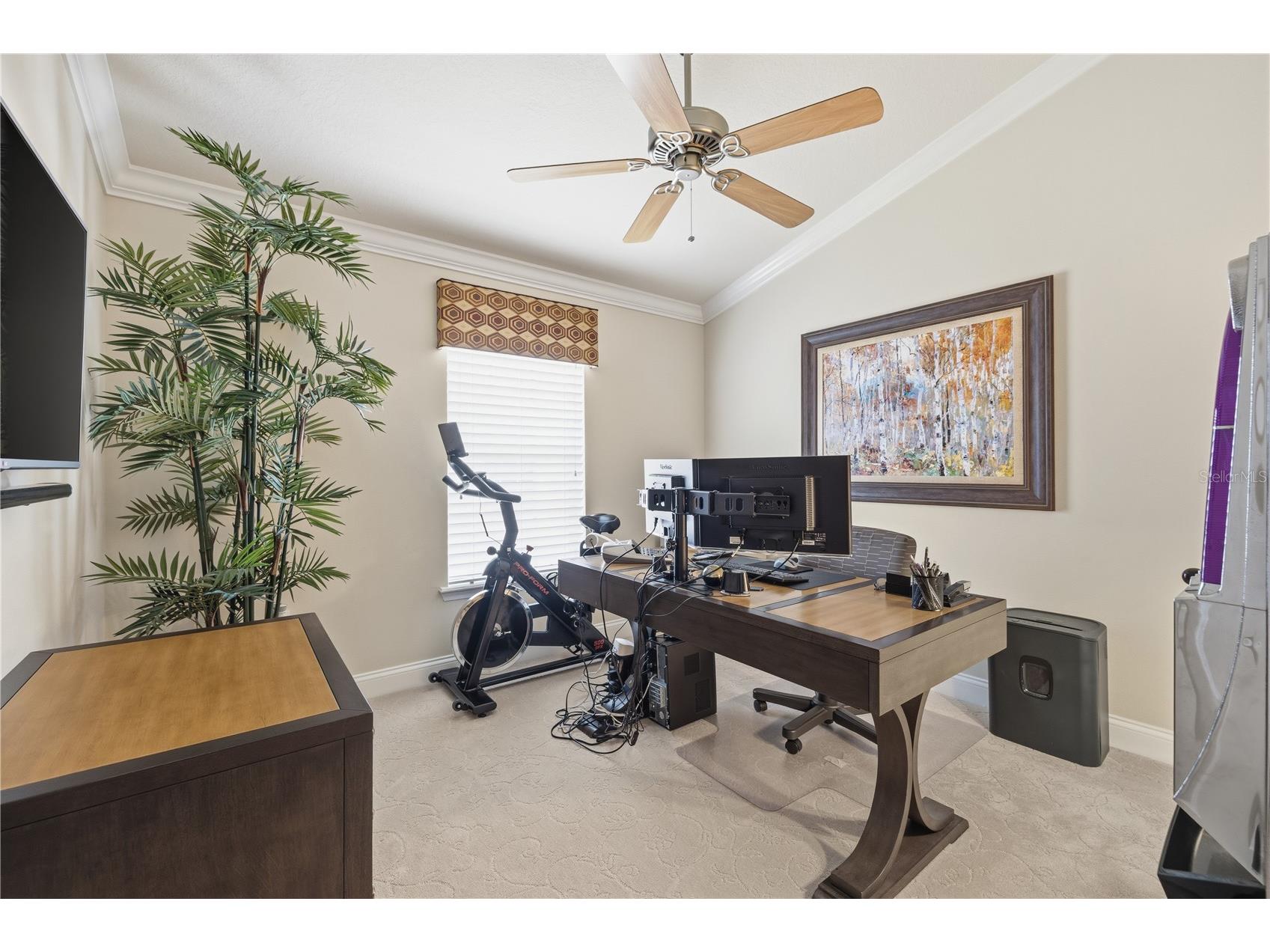 27763 Pleasure Ride Loop Wesley Chapel FL 33544 TB8511138 image17