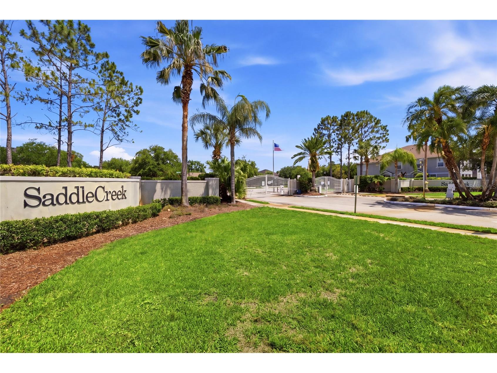 27763 Pleasure Ride Loop Wesley Chapel FL 33544 TB8511138 image26