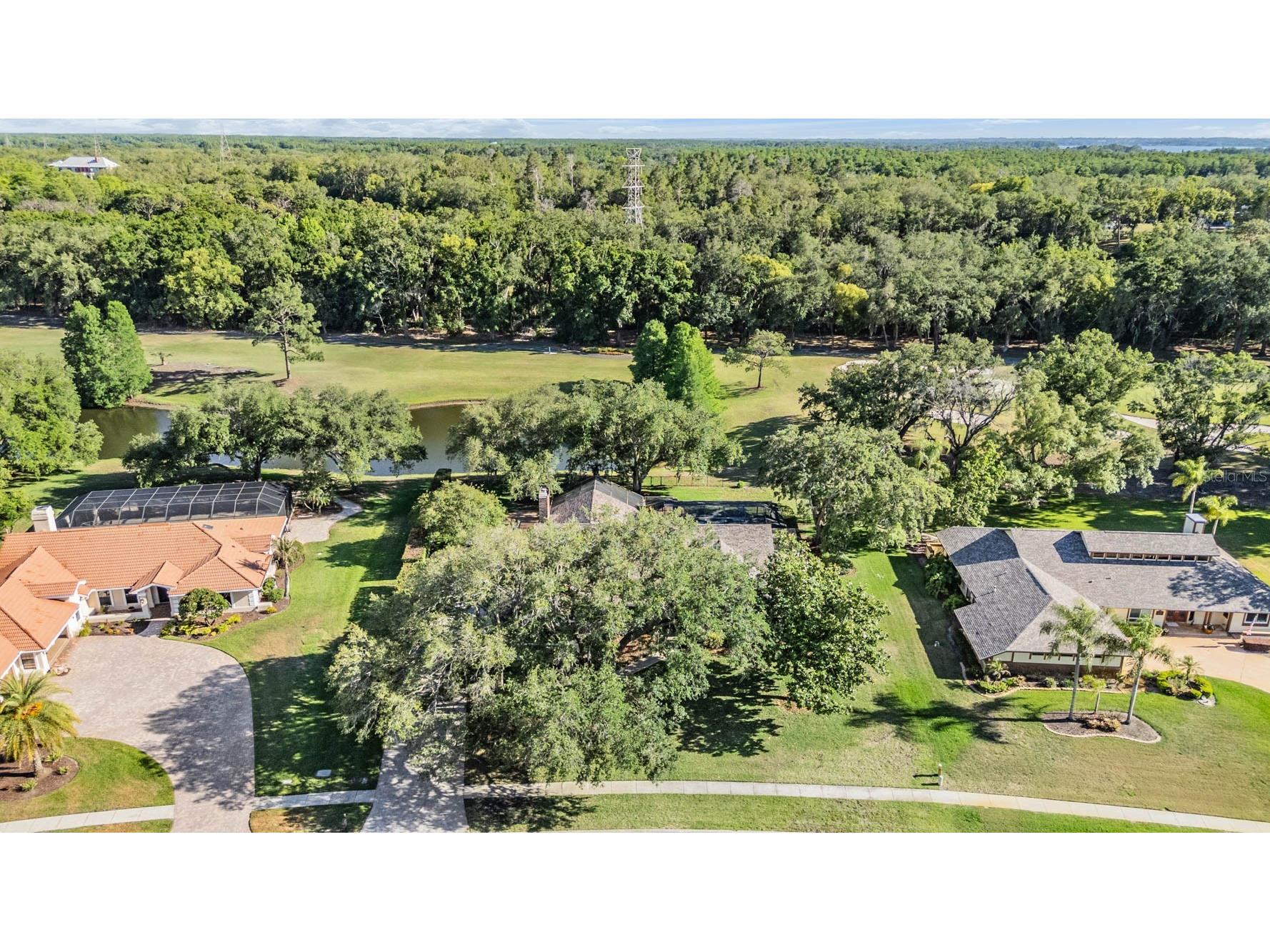 2778 St Andrews Boulevard Tarpon Springs FL 34688 TB8505981 image53
