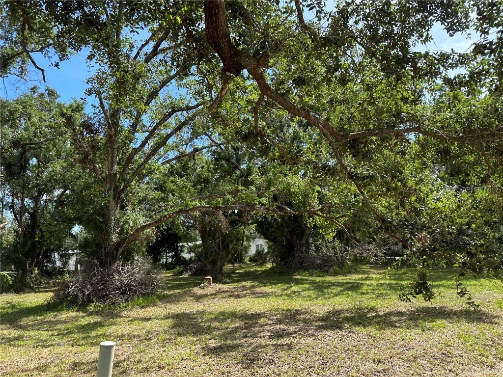 2779 SE Joshua Estates Street Arcadia FL 34266 A4569541 image1