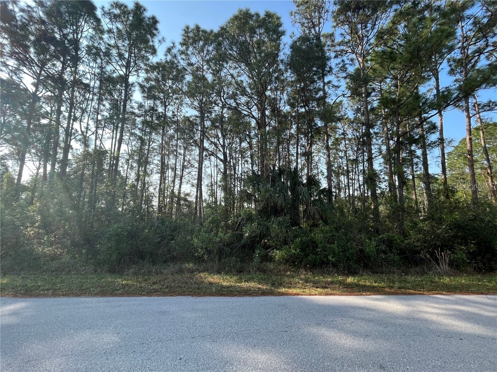 278 Gates Street SW Palm Bay FL 32908 OK222559 image1