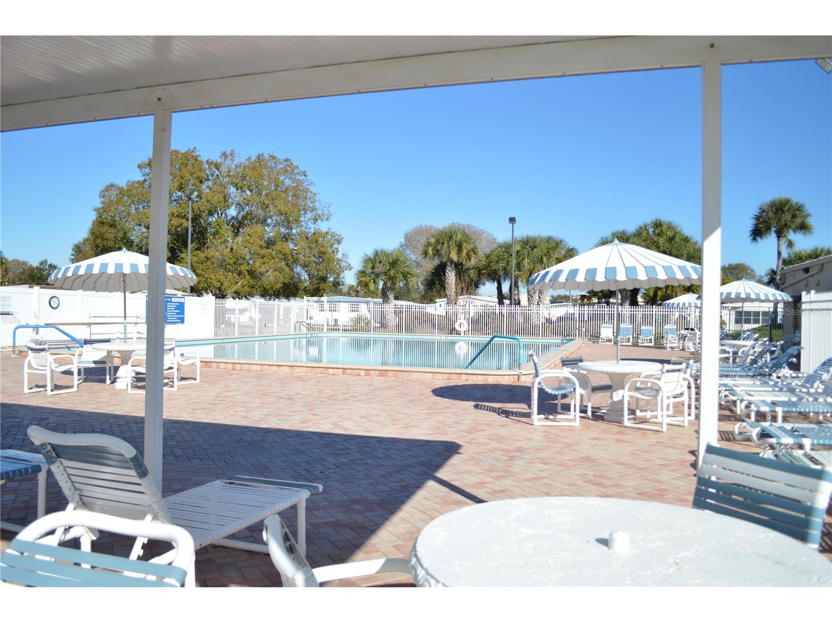 278 Pelican Drive N Oldsmar FL 34677 TB8453637 image29