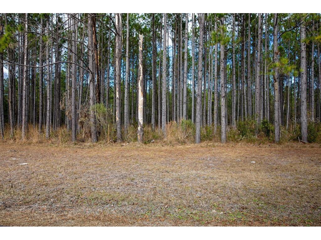 TBD 140th Terrace Lake City FL 32024 GC537136 image31