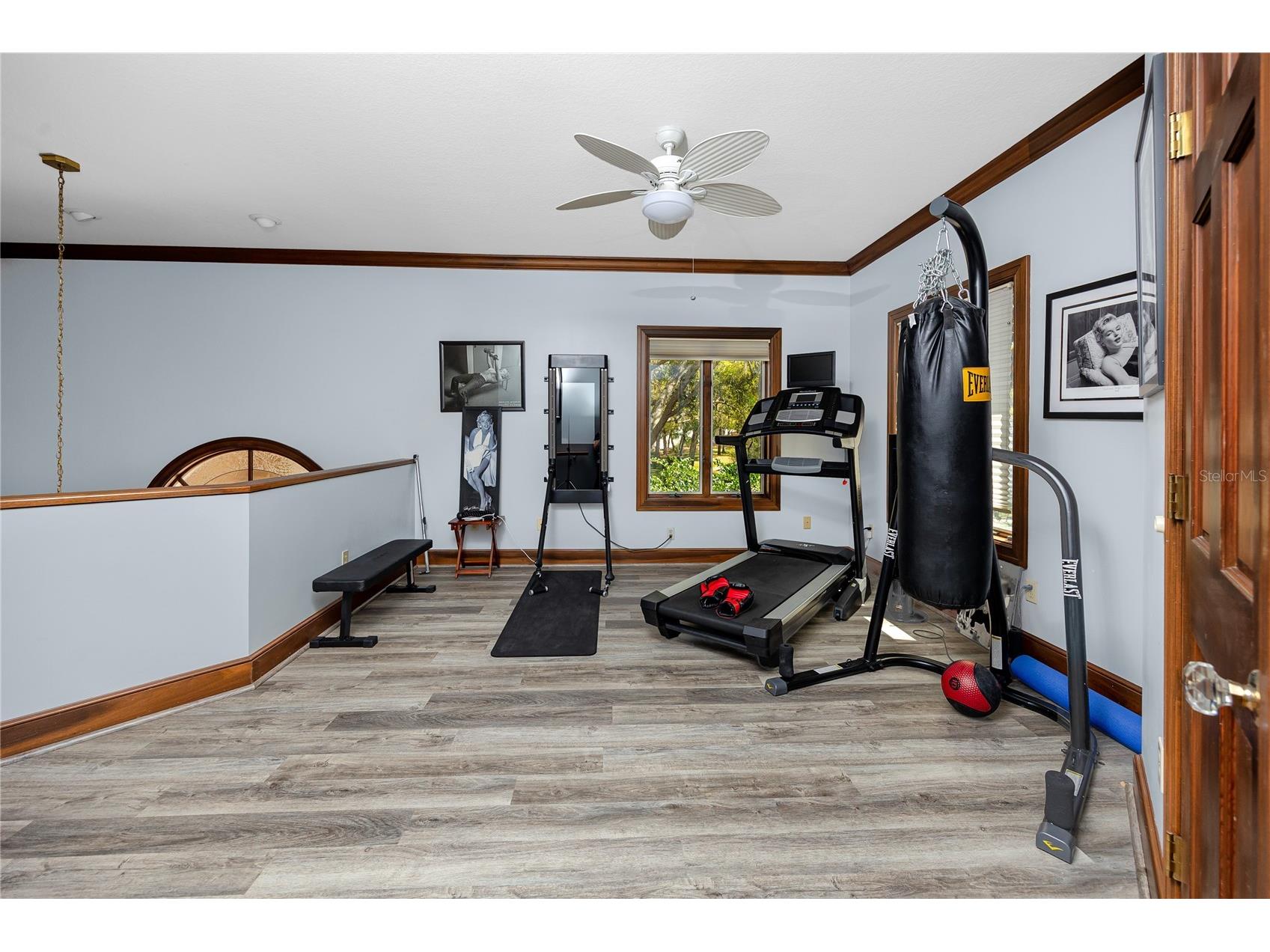 2780 Long Putt Court Palm Harbor FL 34683 TB8485879 image49