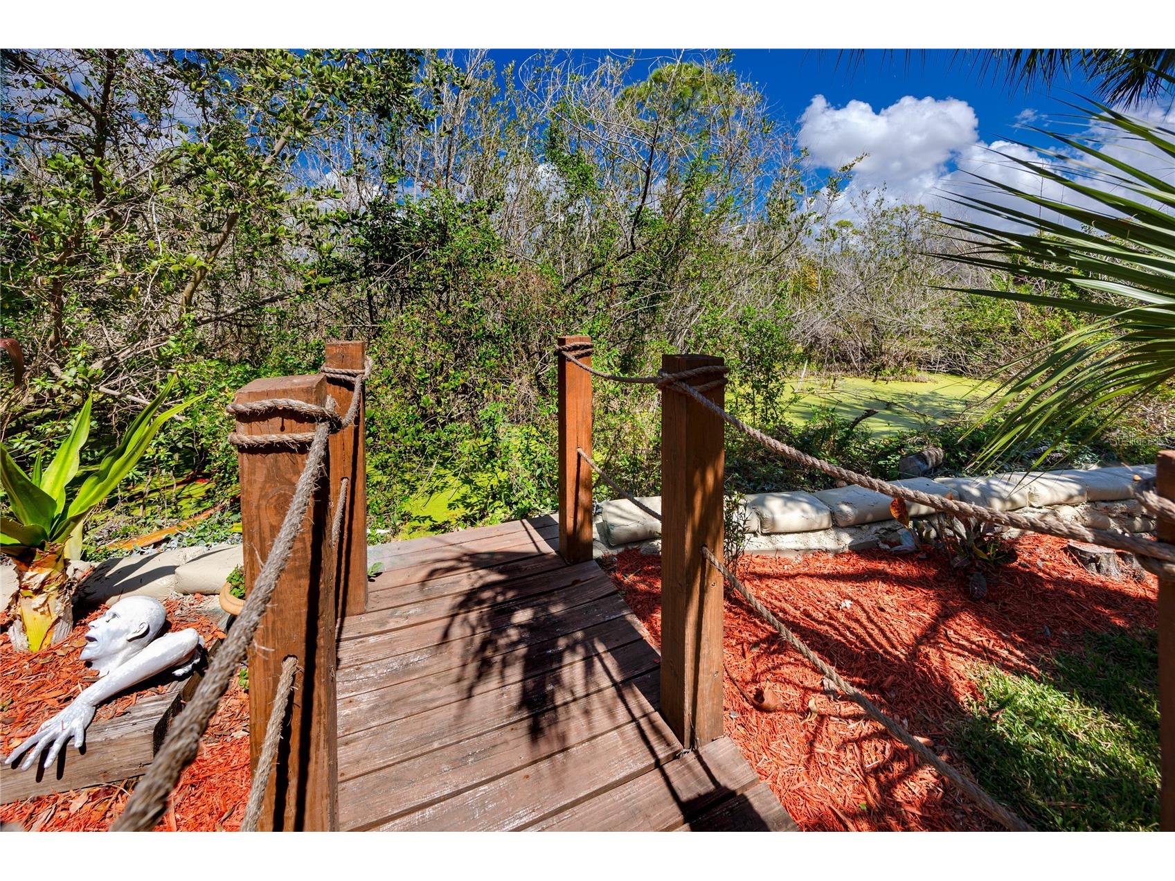 2780 Long Putt Court Palm Harbor FL 34683 TB8485879 image75