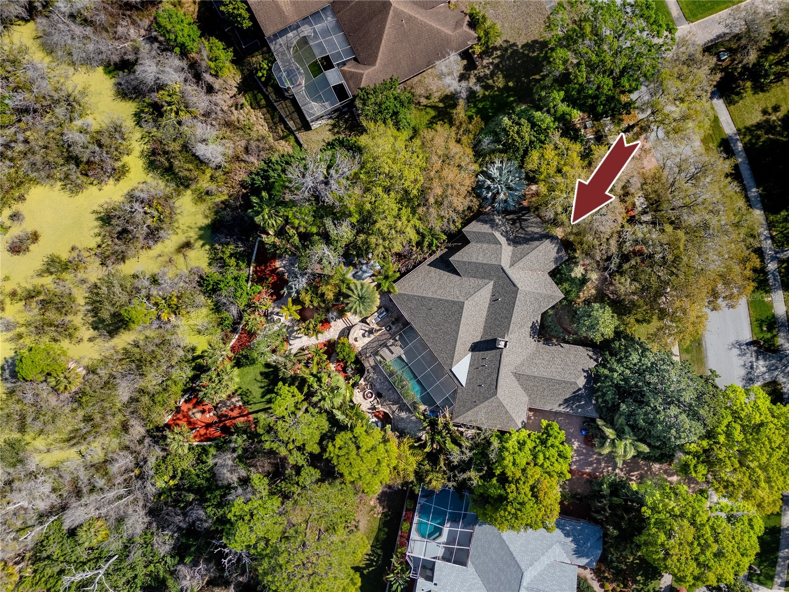 2780 Long Putt Court Palm Harbor FL 34683 TB8485879 image81