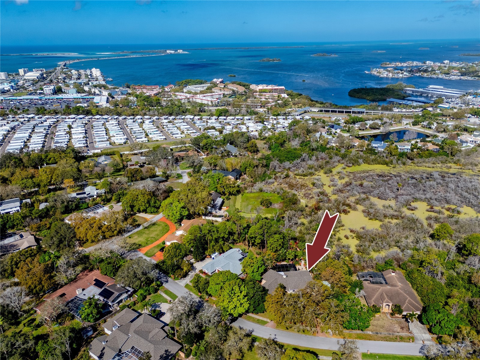 2780 Long Putt Court Palm Harbor FL 34683 TB8485879 image83