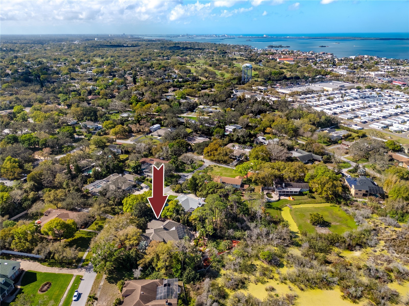 2780 Long Putt Court Palm Harbor FL 34683 TB8485879 image84