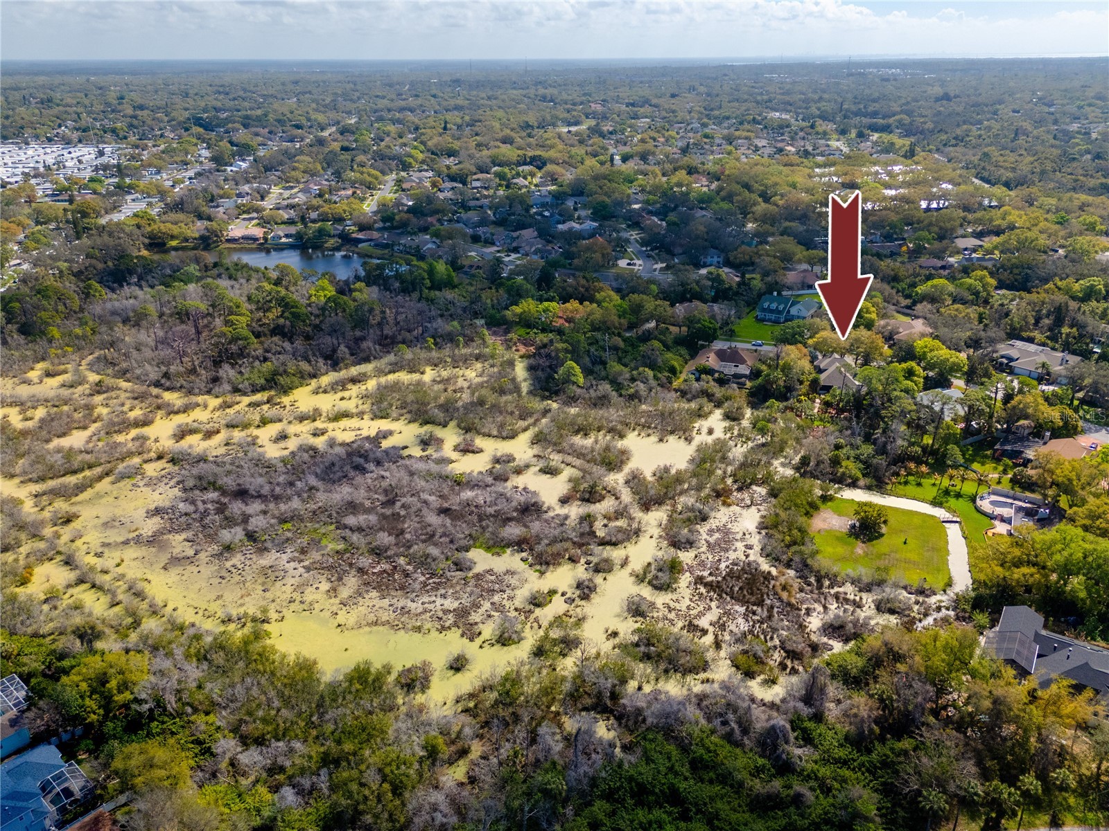 2780 Long Putt Court Palm Harbor FL 34683 TB8485879 image85