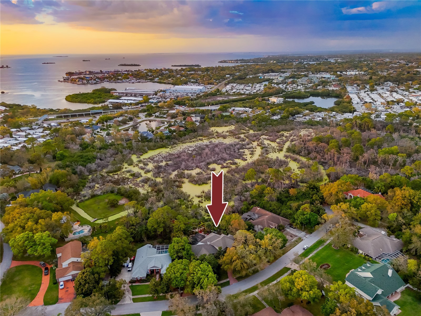 2780 Long Putt Court Palm Harbor FL 34683 TB8485879 image86
