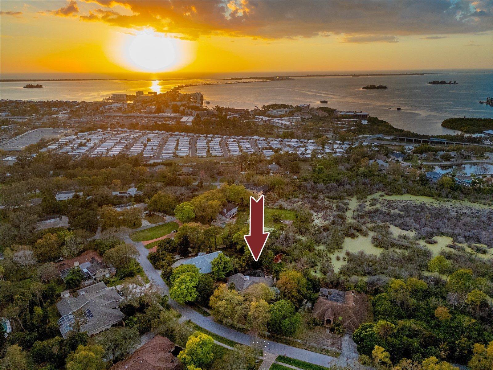 2780 Long Putt Court Palm Harbor FL 34683 TB8485879 image87