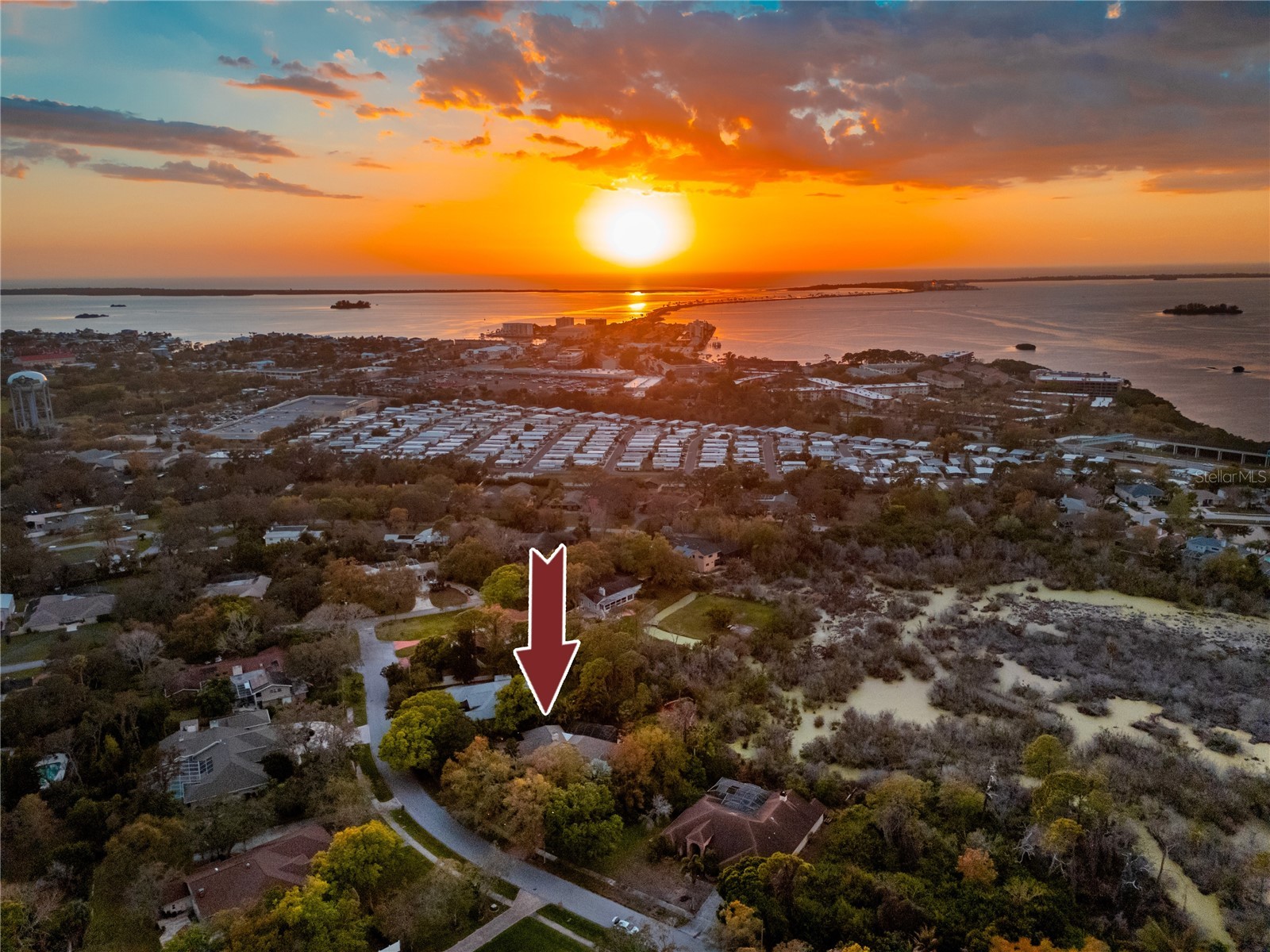 2780 Long Putt Court Palm Harbor FL 34683 TB8485879 image88