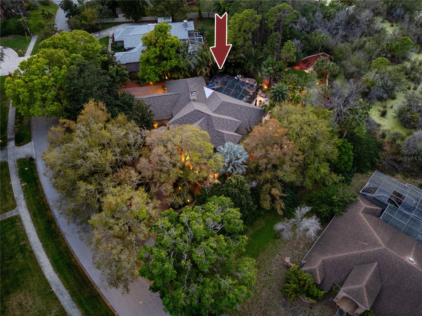 2780 Long Putt Court Palm Harbor FL 34683 TB8485879 image89