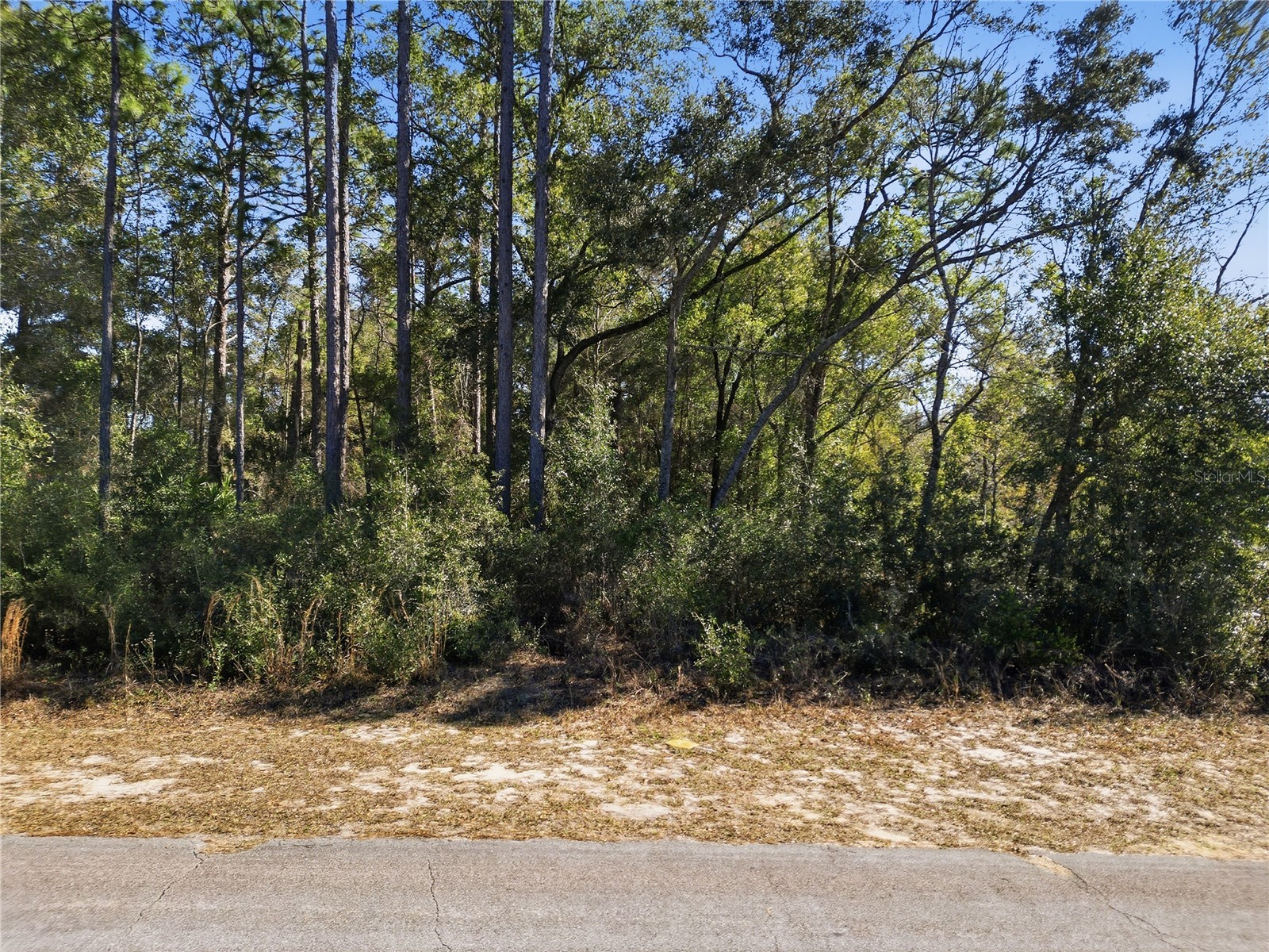 2780 W Elgin Place Citrus Springs FL 34434 TB8473892 image11