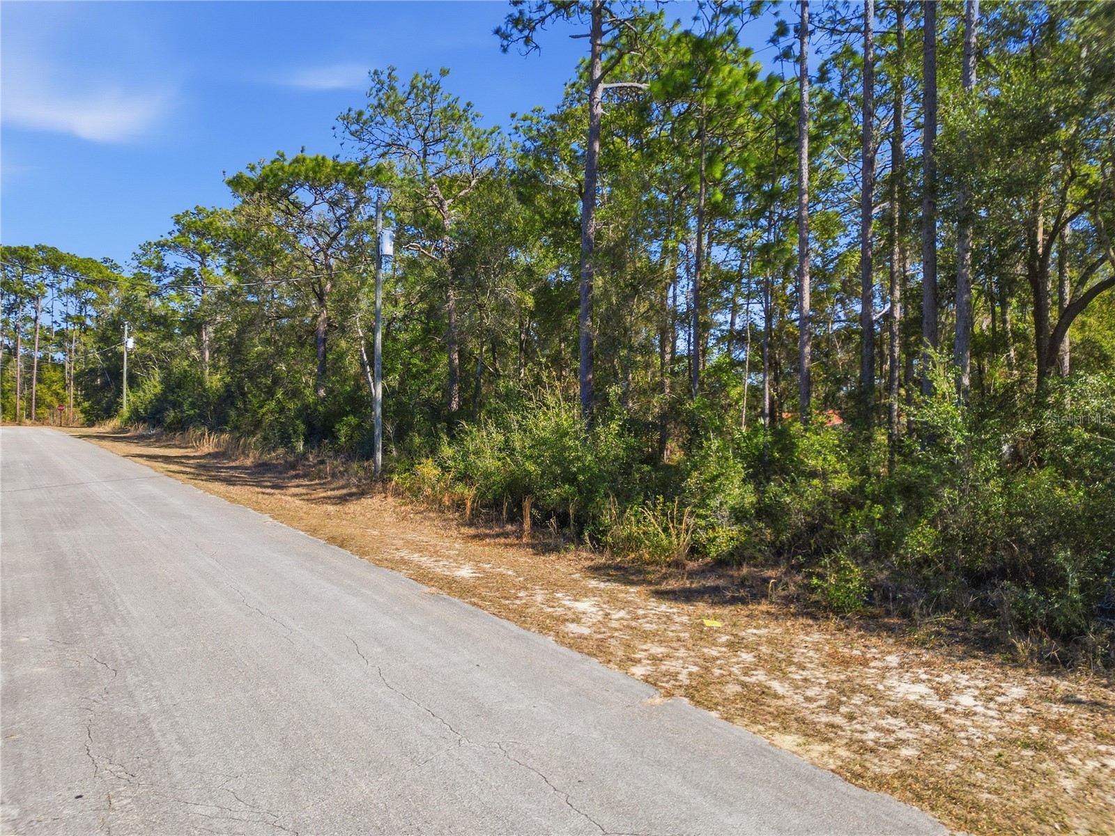 2780 W Elgin Place Citrus Springs FL 34434 TB8473892 image2