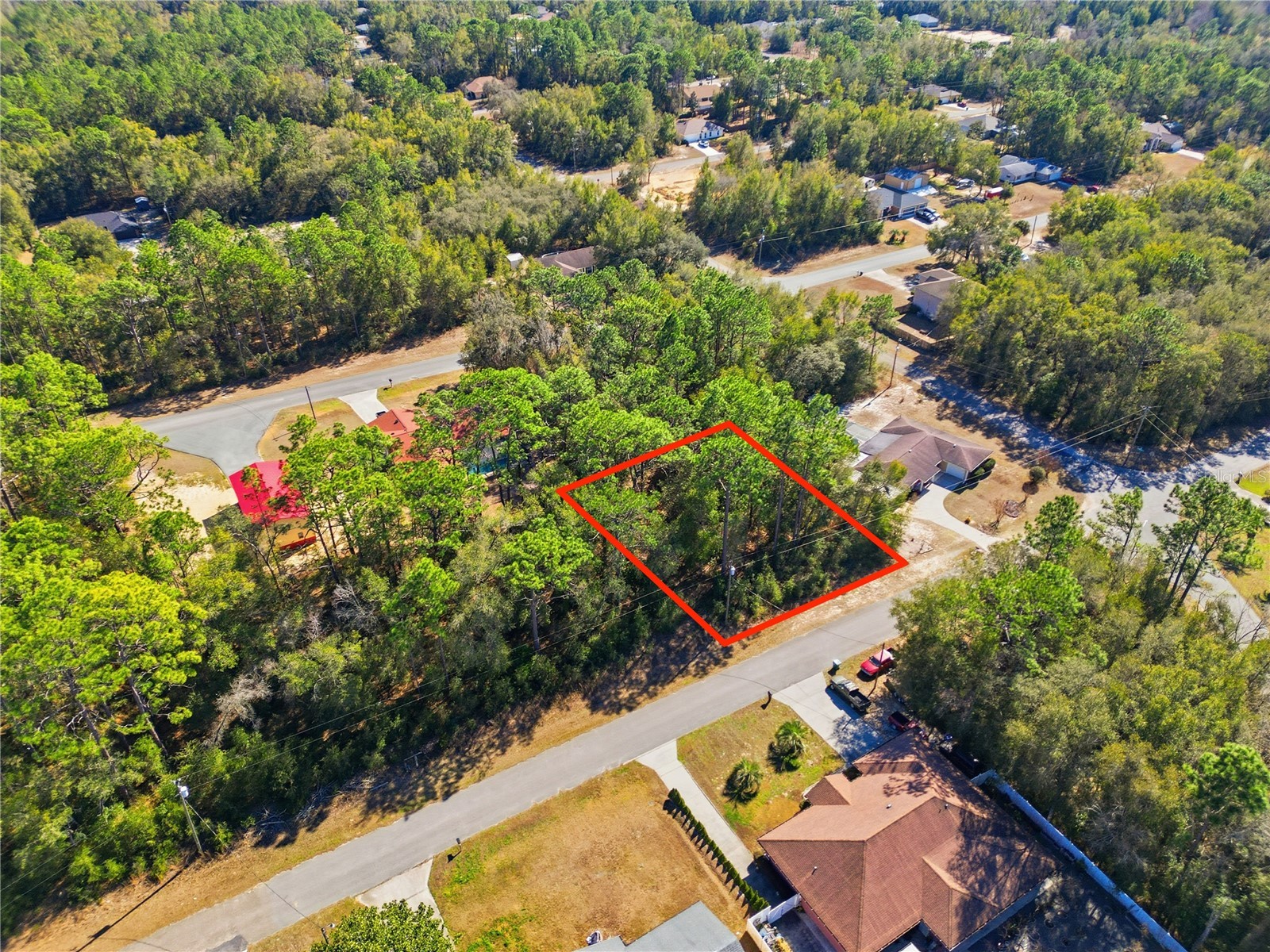 2780 W Elgin Place Citrus Springs FL 34434 TB8473892 image4