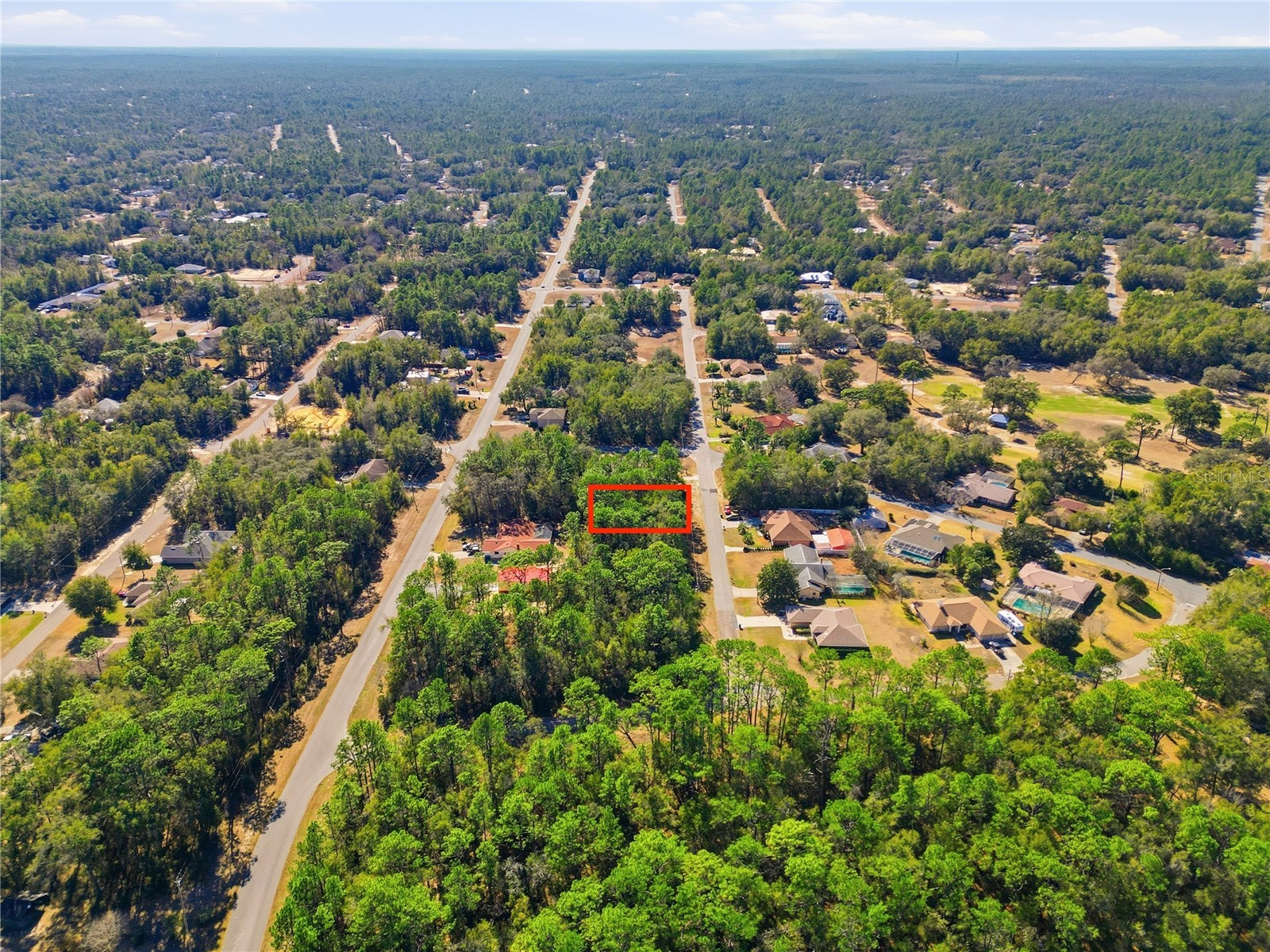 2780 W Elgin Place Citrus Springs FL 34434 TB8473892 image6