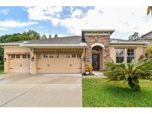 27806 Autumn Breeze Circle Wesley Chapel FL 33544 T3544900 image1