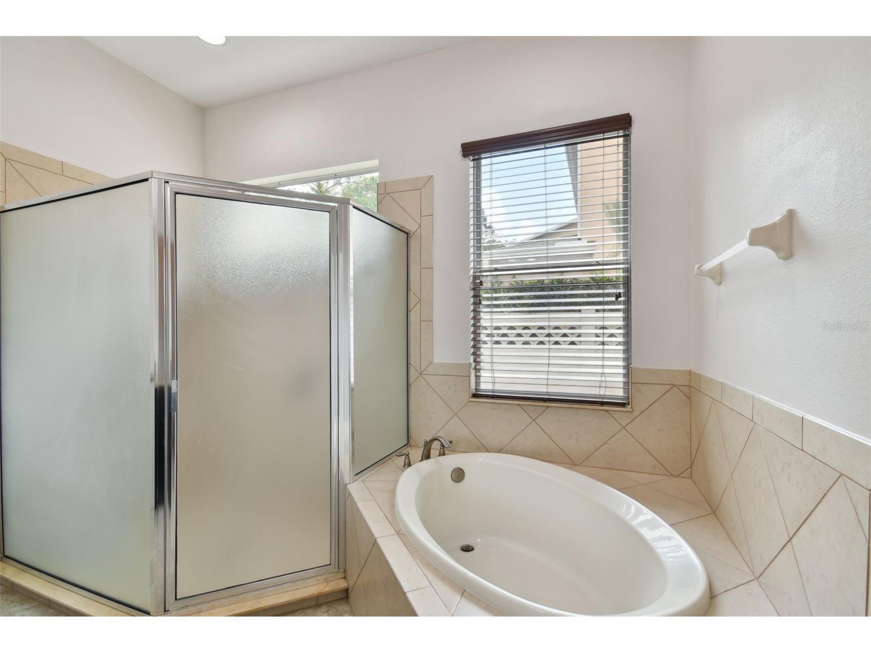 27806 Autumn Breeze Circle Wesley Chapel FL 33544 TB8509640 image31