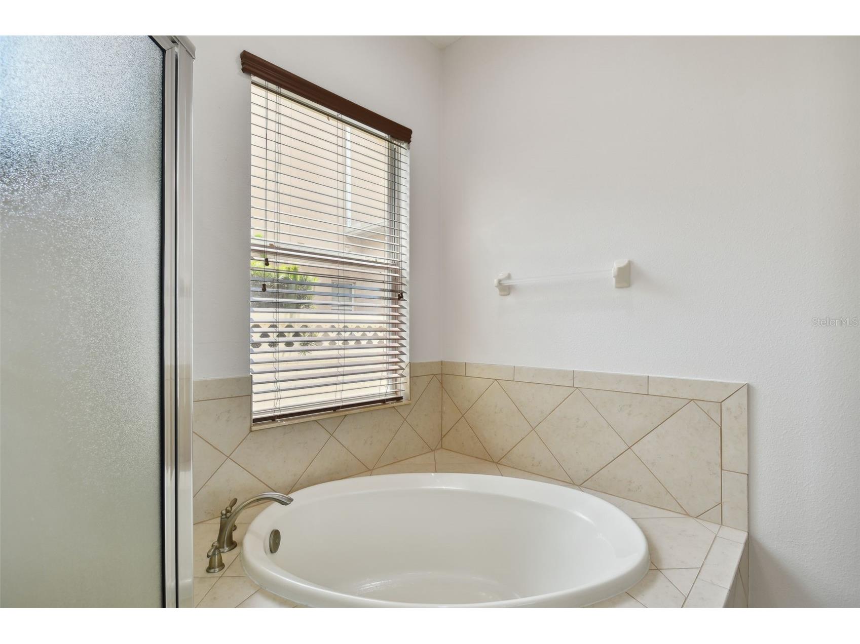 27806 Autumn Breeze Circle Wesley Chapel FL 33544 TB8509640 image32