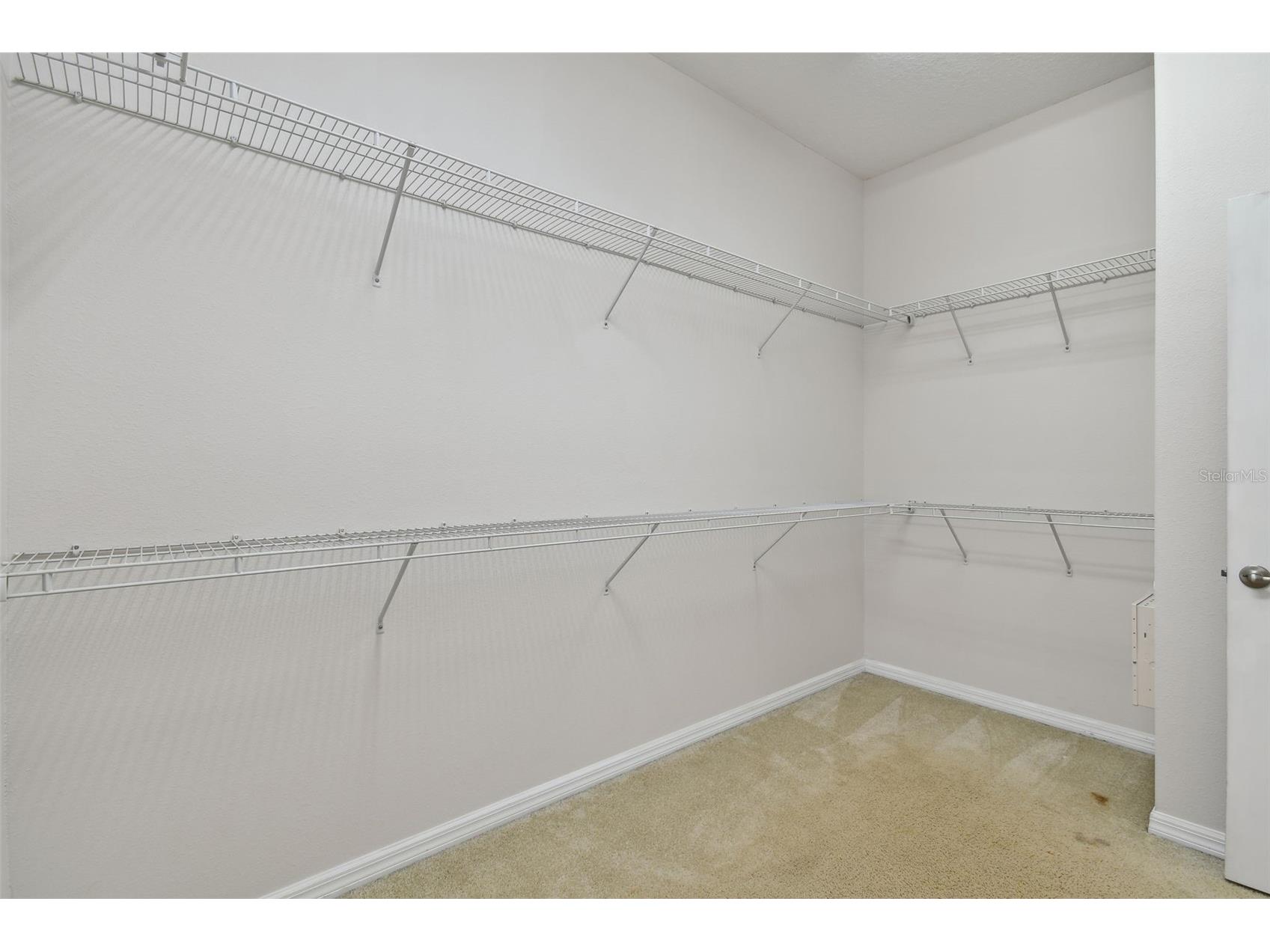 27806 Autumn Breeze Circle Wesley Chapel FL 33544 TB8509640 image35