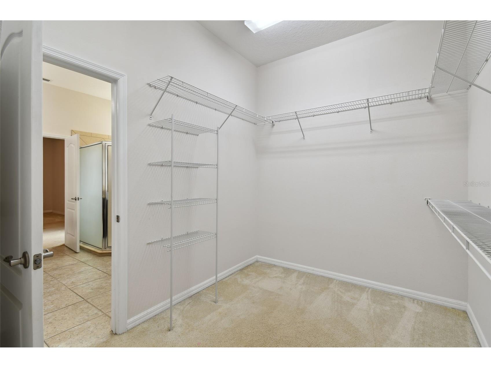 27806 Autumn Breeze Circle Wesley Chapel FL 33544 TB8509640 image37
