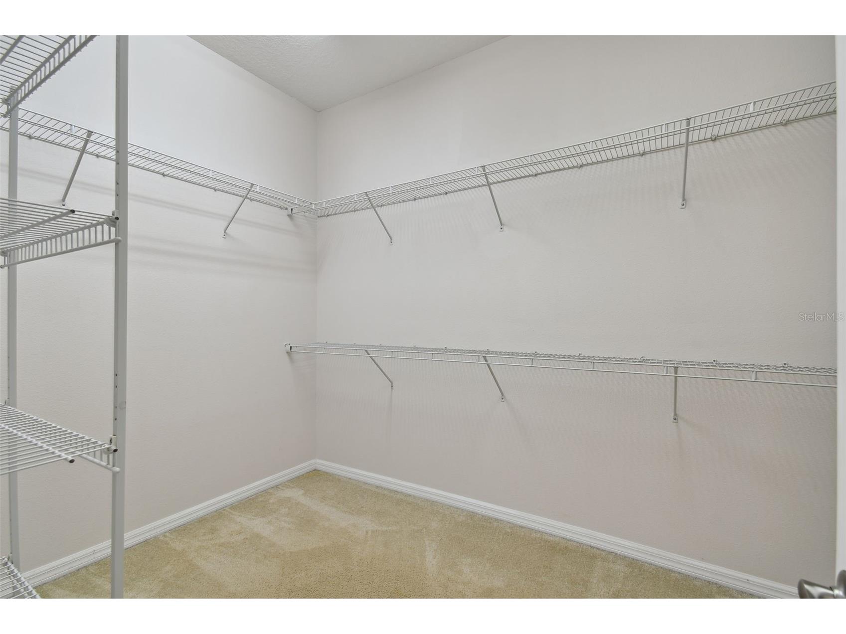 27806 Autumn Breeze Circle Wesley Chapel FL 33544 TB8509640 image38