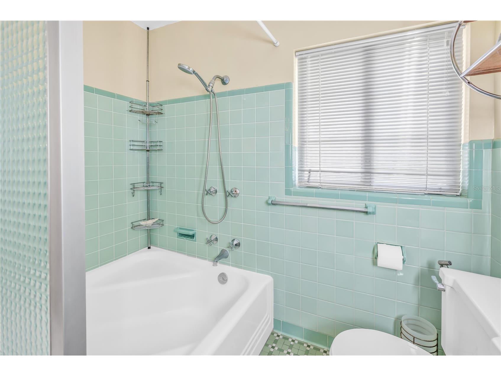 2781 Bayside Drive S Saint Petersburg FL 33705 - BIG BAYOU TB8508186 image34