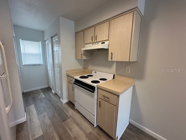 2781 Landover Boulevard Spring Hill FL 34608 W7881292 image6