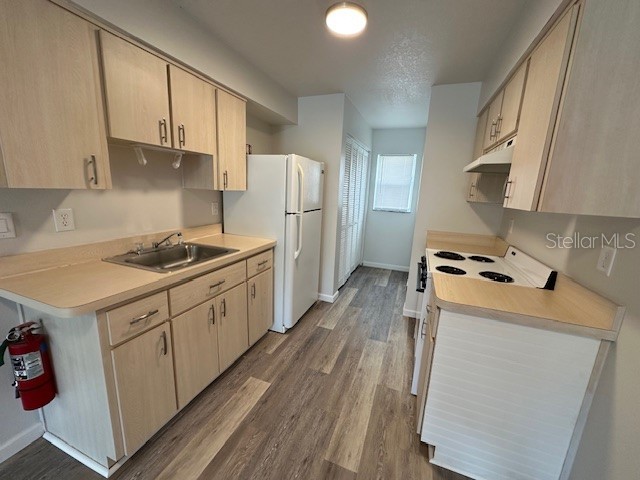 2781 Landover Boulevard Spring Hill FL 34608 W7881292 image7