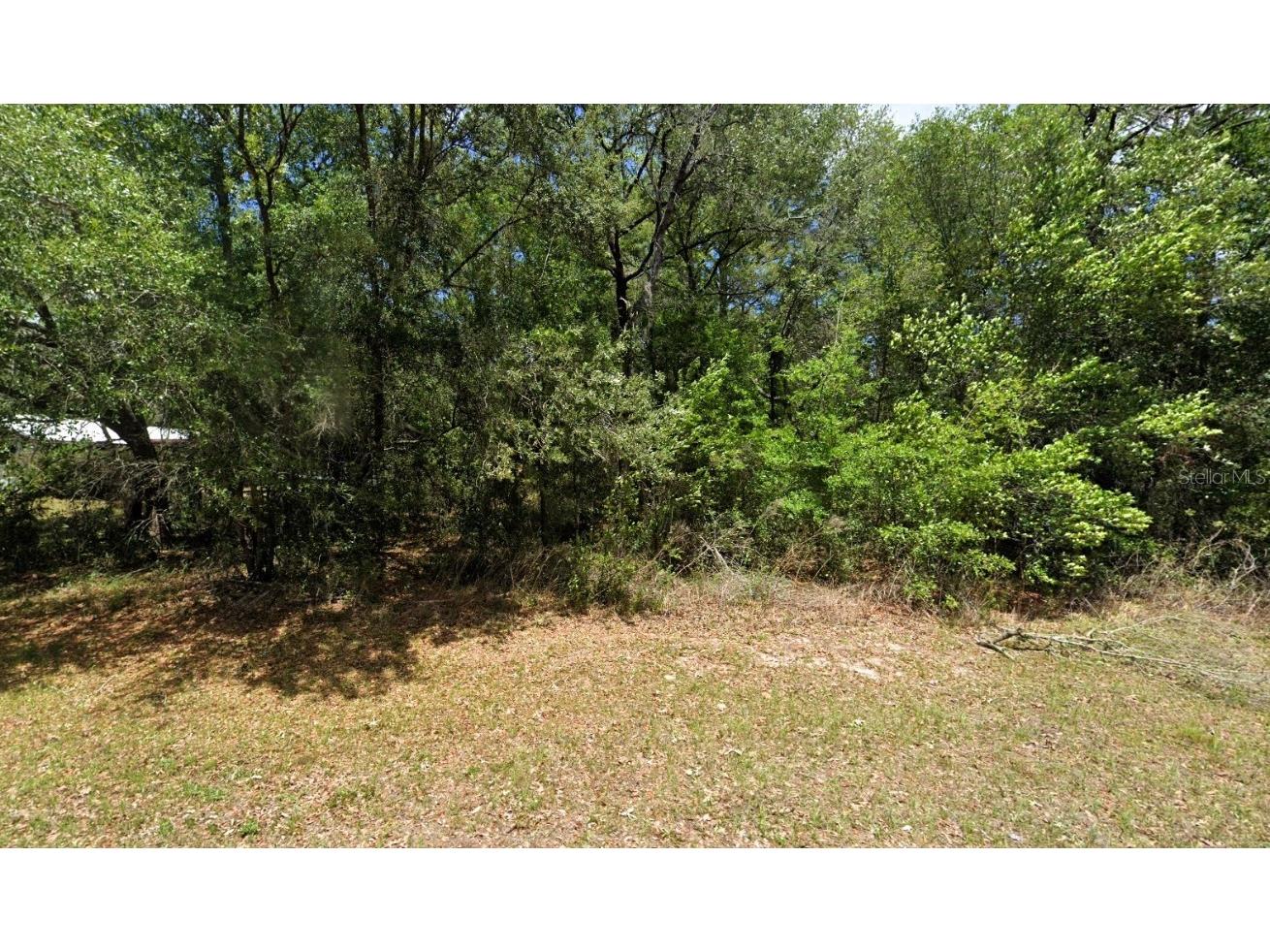 2781 W Mystery Lane Citrus Springs FL 34434 G5093800 image1