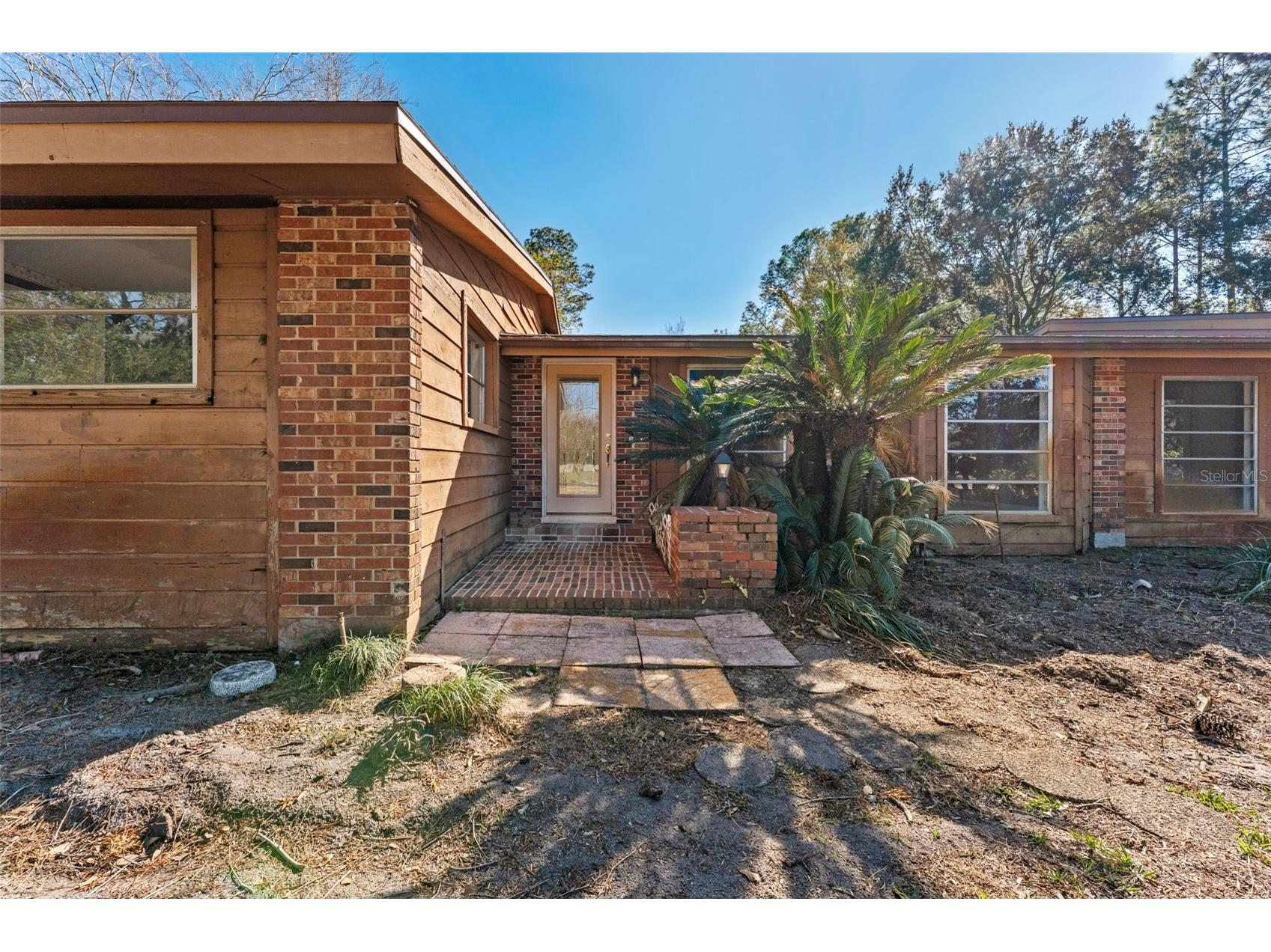 27814 Quail View Lane Wesley Chapel FL 33544 TB8467319 image1