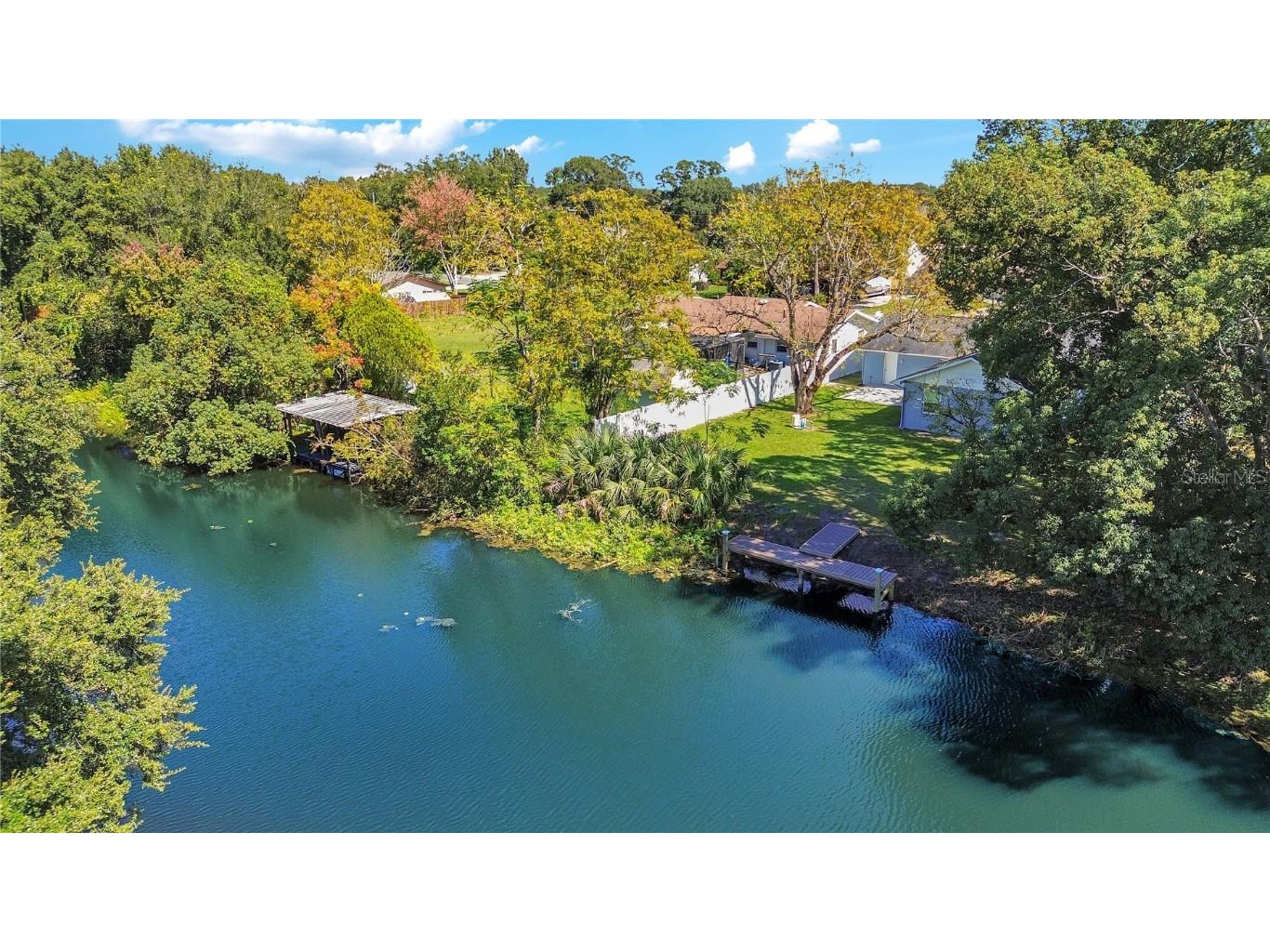 27821 Lois Drive Tavares FL 32778 G5075294 image1