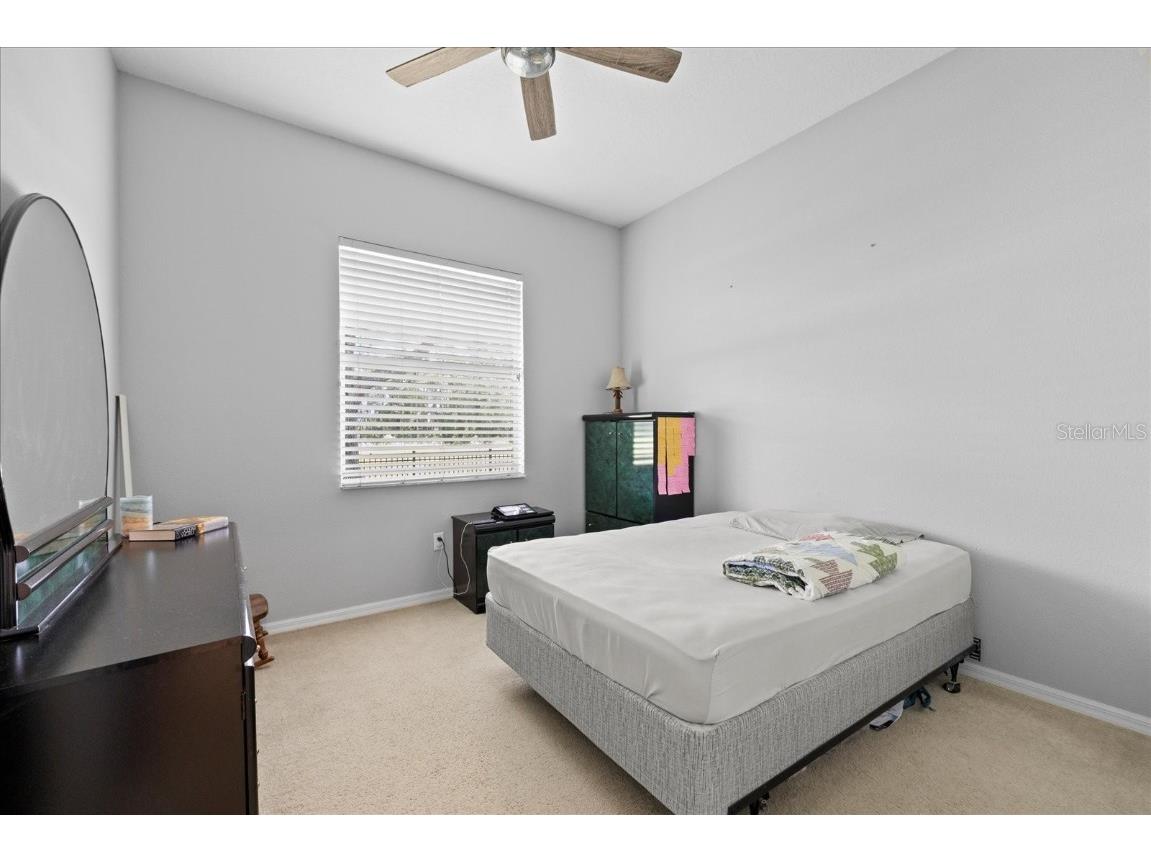 27826 Sora Boulevard Wesley Chapel FL 33544 TB8400112 image25