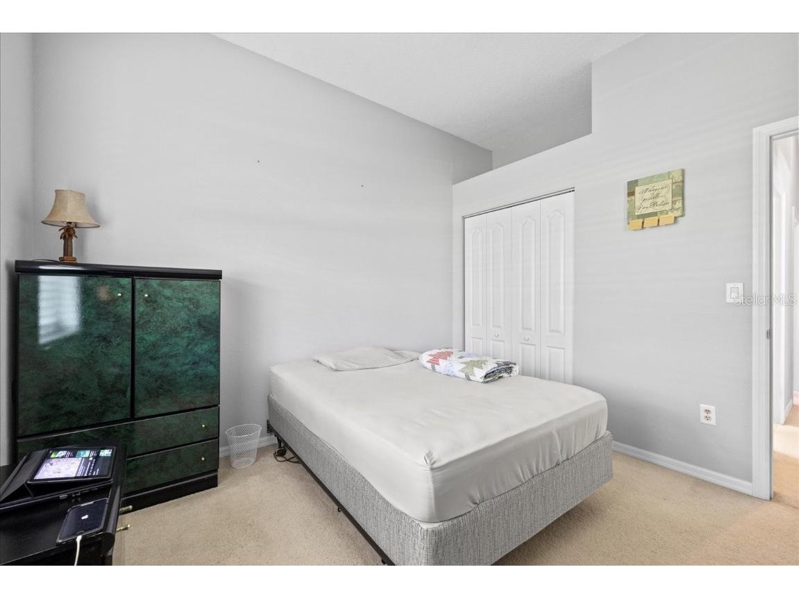 27826 Sora Boulevard Wesley Chapel FL 33544 TB8400112 image26