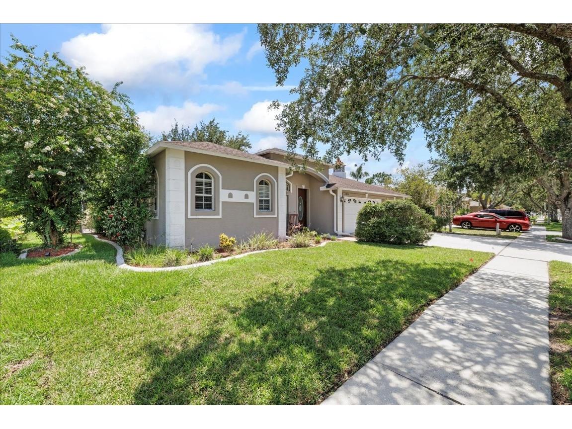 27826 Sora Boulevard Wesley Chapel FL 33544 TB8400112 image6