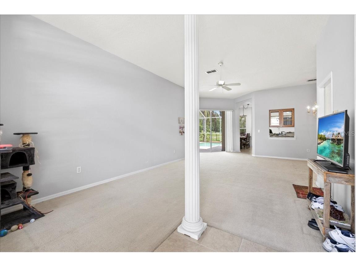 27826 Sora Boulevard Wesley Chapel FL 33544 TB8400112 image9