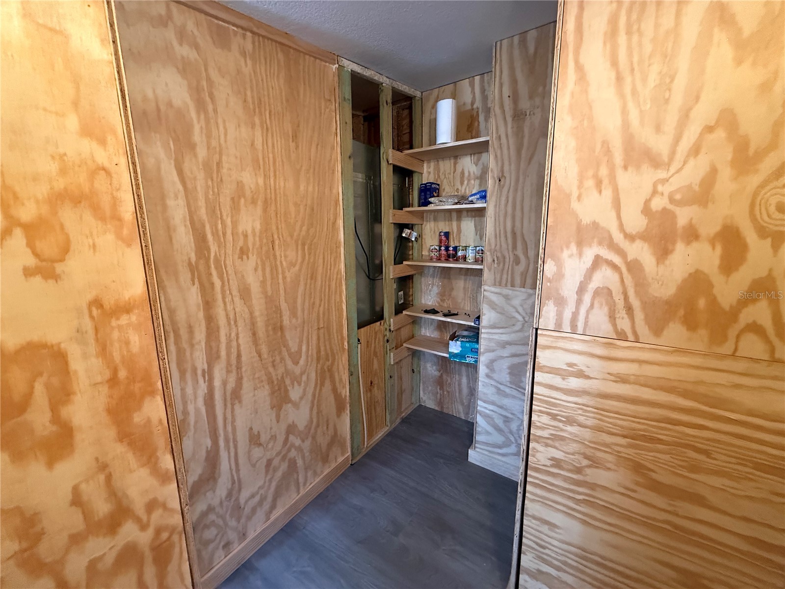 27834 Veva Avenue Paisley FL 32767 - LAKE KATHRYN G5107519 image26