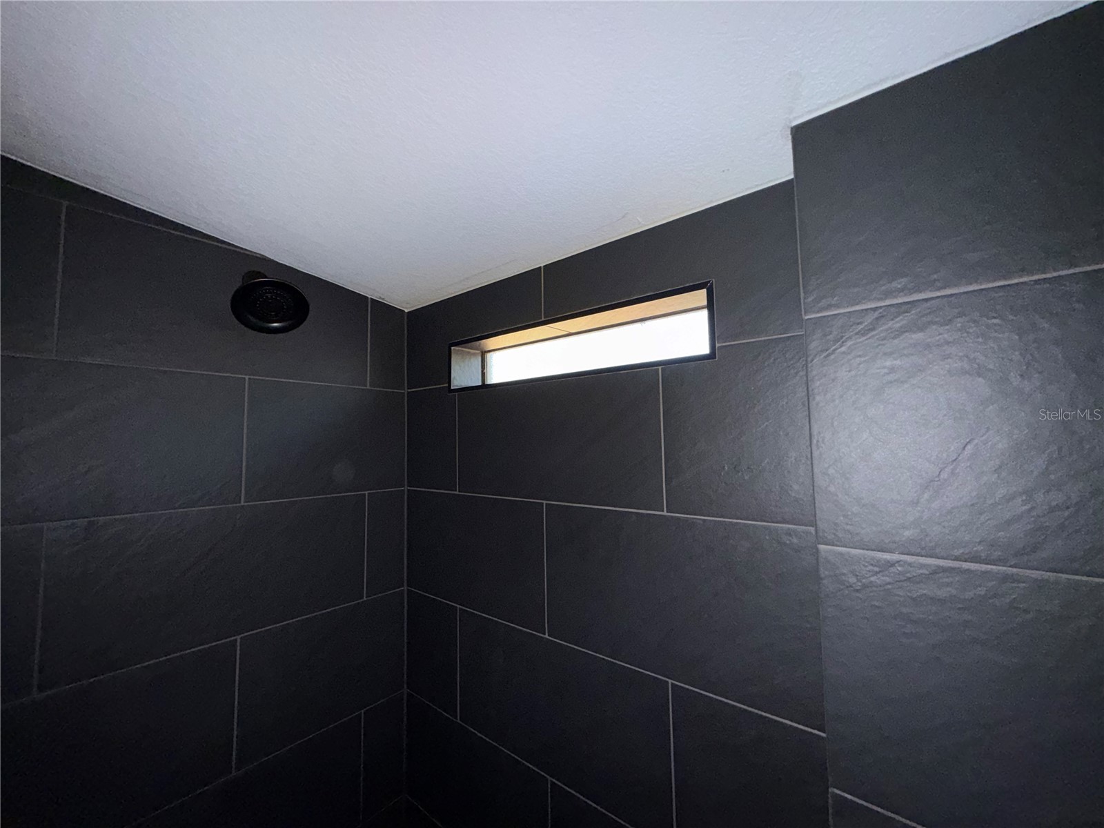 27834 Veva Avenue Paisley FL 32767 - LAKE KATHRYN G5107519 image36