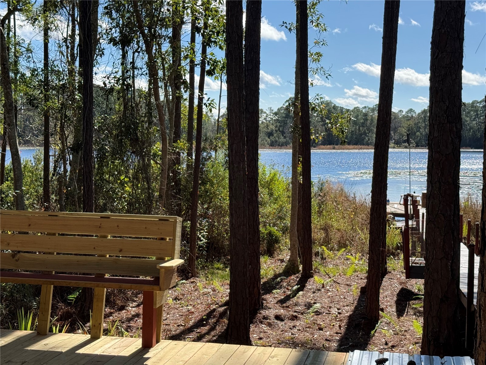 27834 Veva Avenue Paisley FL 32767 - LAKE KATHRYN G5107519 image41