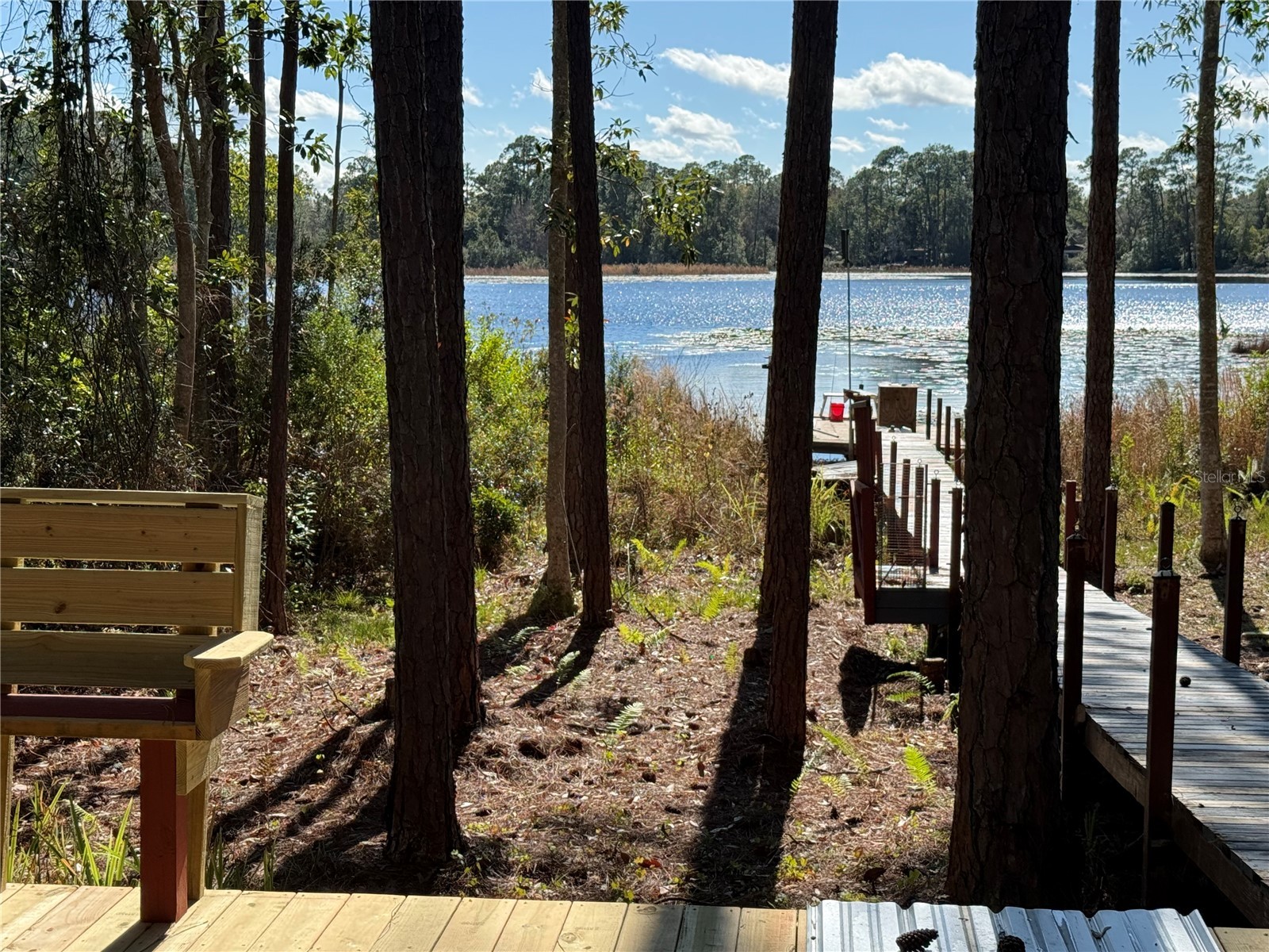 27834 Veva Avenue Paisley FL 32767 - LAKE KATHRYN G5107519 image43