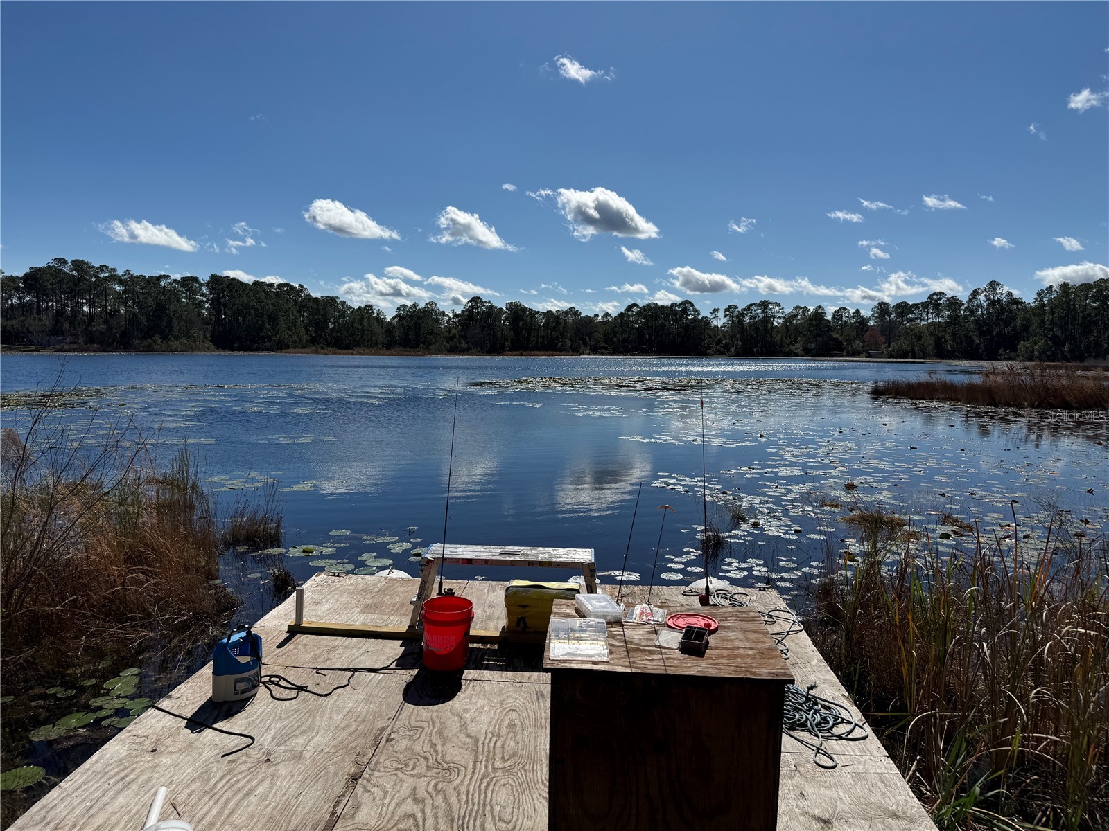 27834 Veva Avenue Paisley FL 32767 - LAKE KATHRYN G5107519 image44