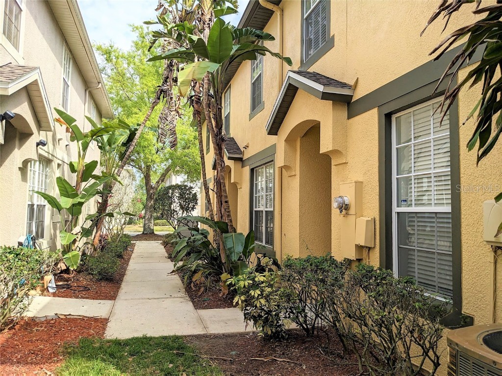 27837 Pleasure Ride Loop Wesley Chapel FL 33544 U8186440 image3