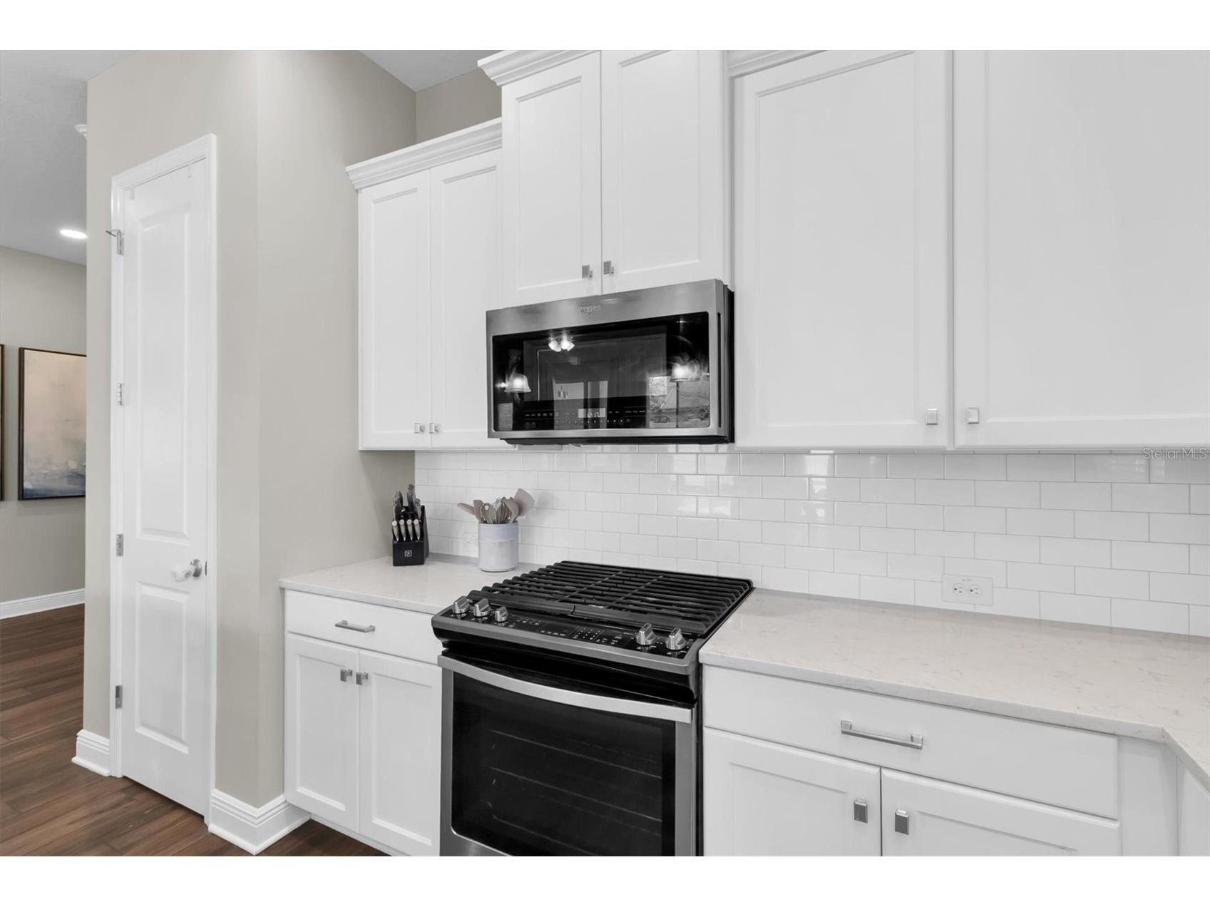 2784 Satilla Loop Odessa FL 33556 W7885798 image12