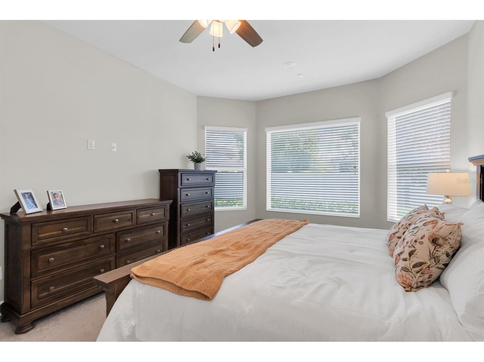 2784 Satilla Loop Odessa FL 33556 W7885798 image18