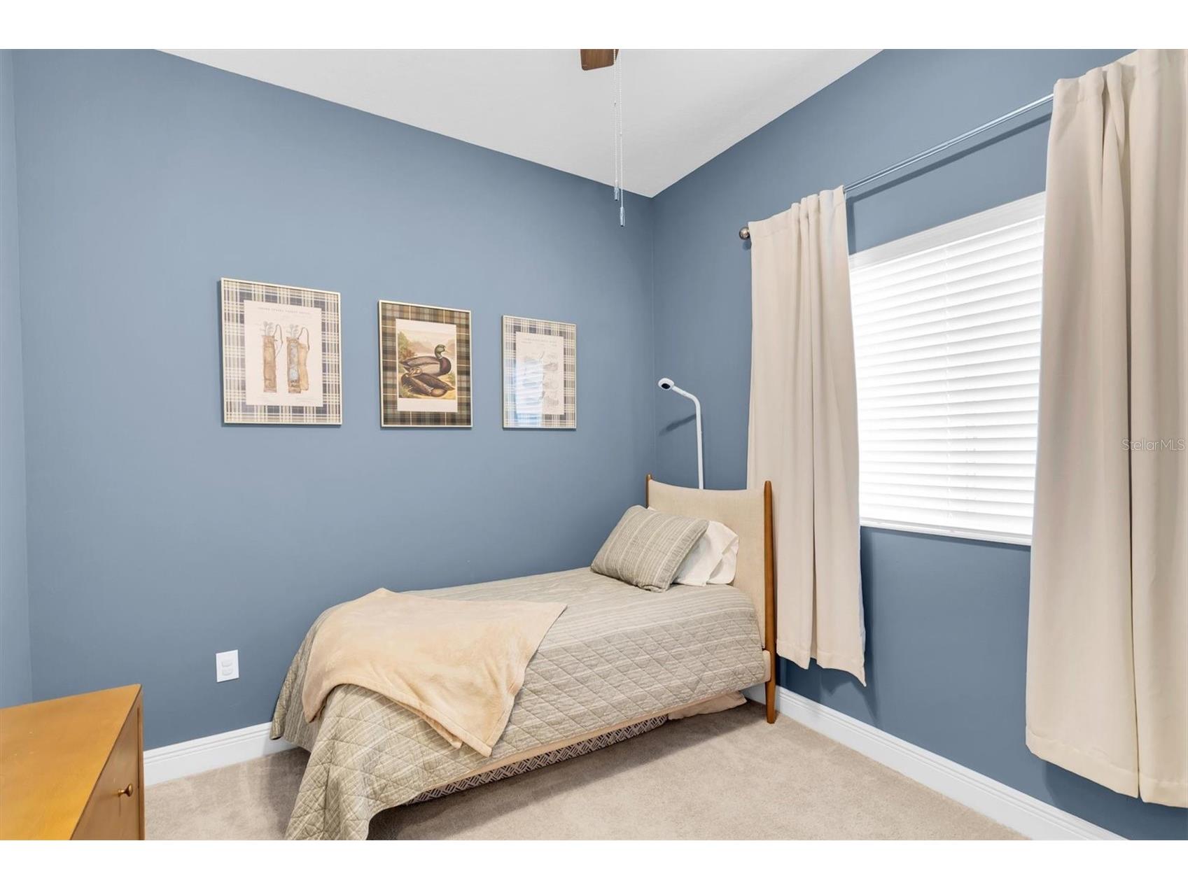 2784 Satilla Loop Odessa FL 33556 W7885798 image25