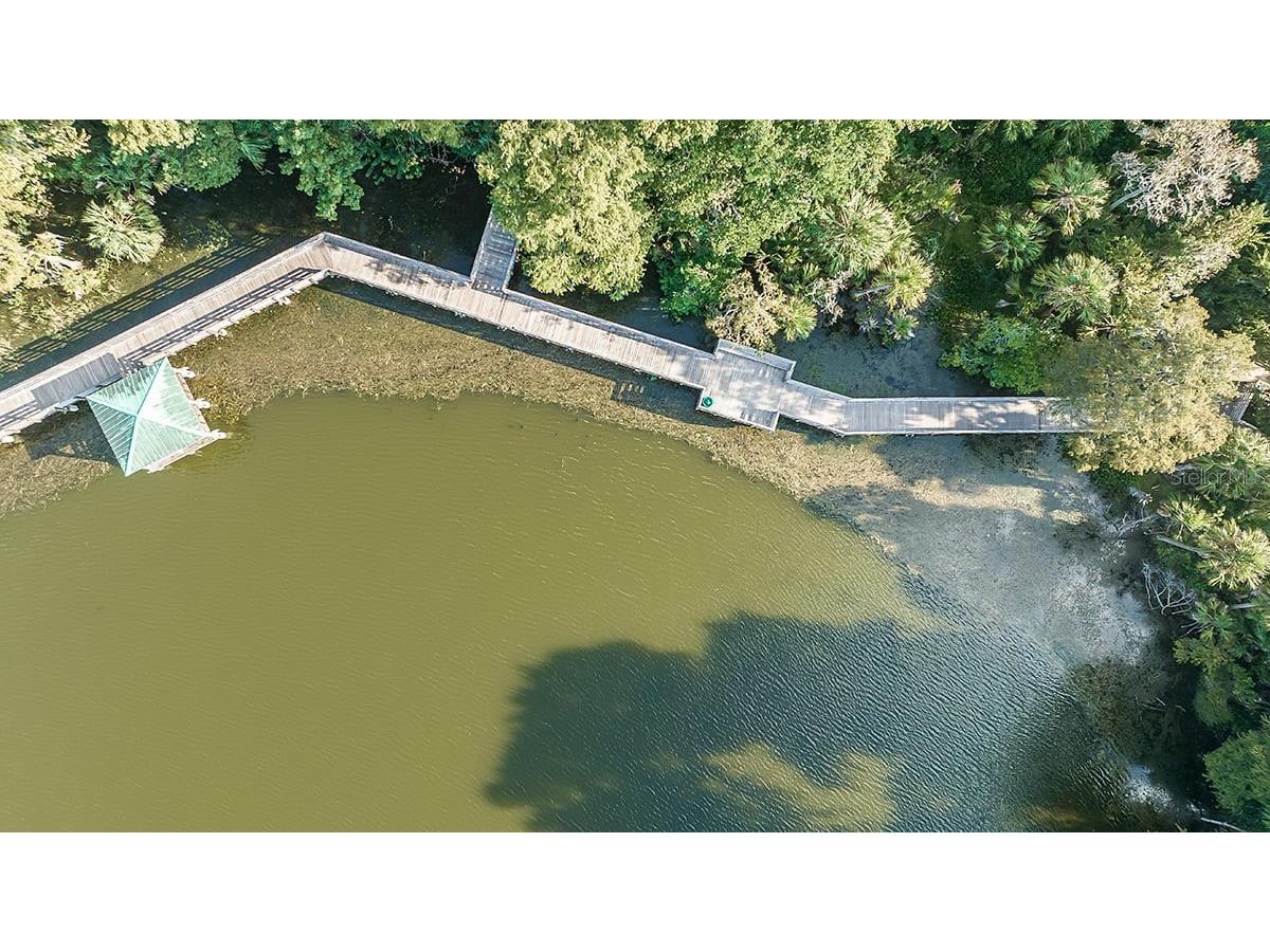 2786 Armadale Drive Mount Dora FL 32757 O6375638 image24