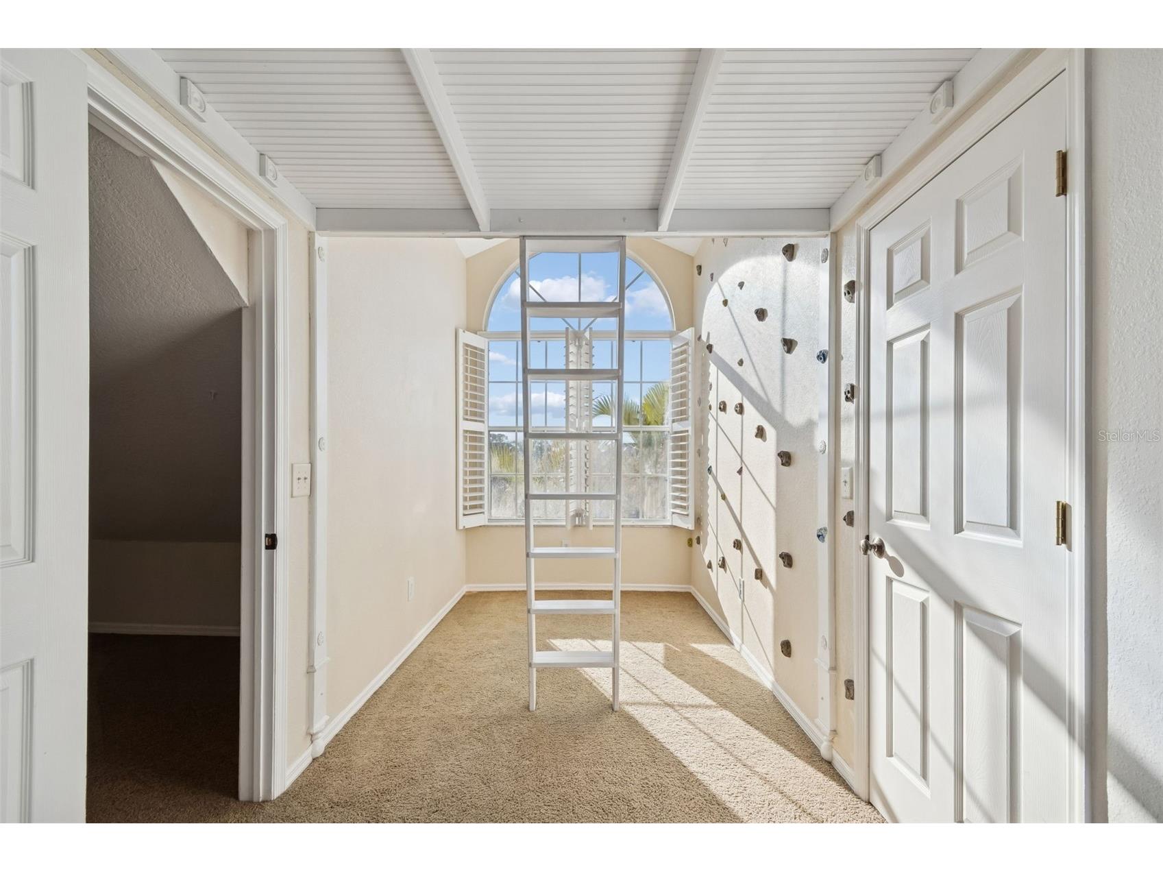 2786 Countryside Boulevard #2 Clearwater FL 33761 TB8474787 image41